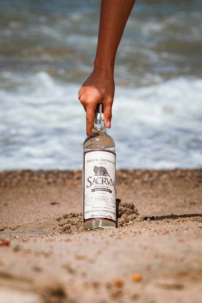 Casa Sacrvm mezcal in the Oaxacan agave fields — education on spirits and terroir