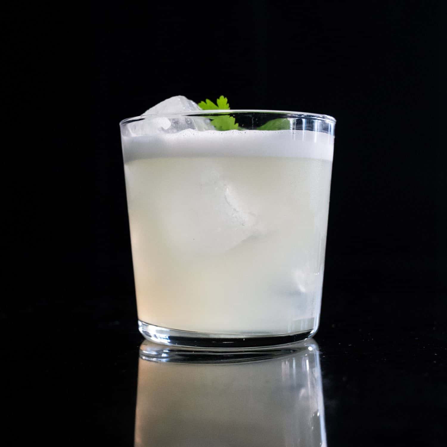 Cilantro Penicillin with ginger